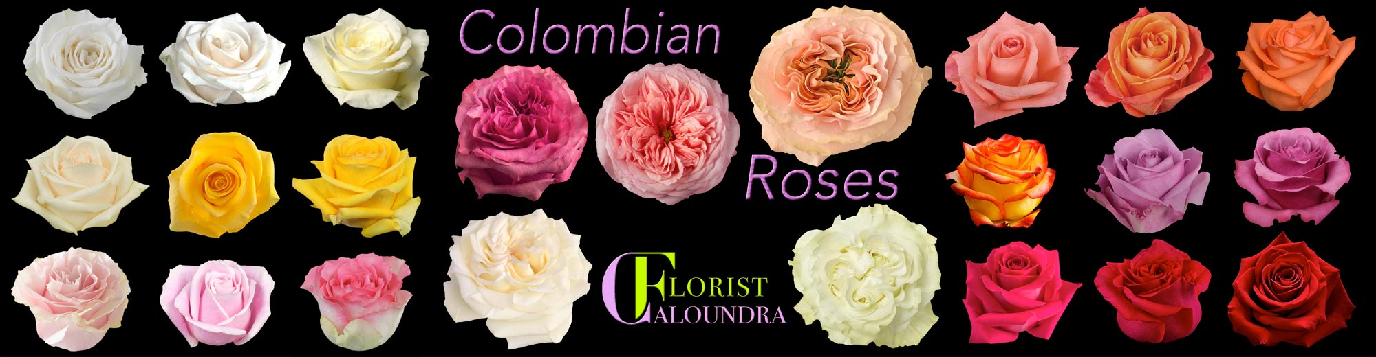 COLOMBIAN ROSES
