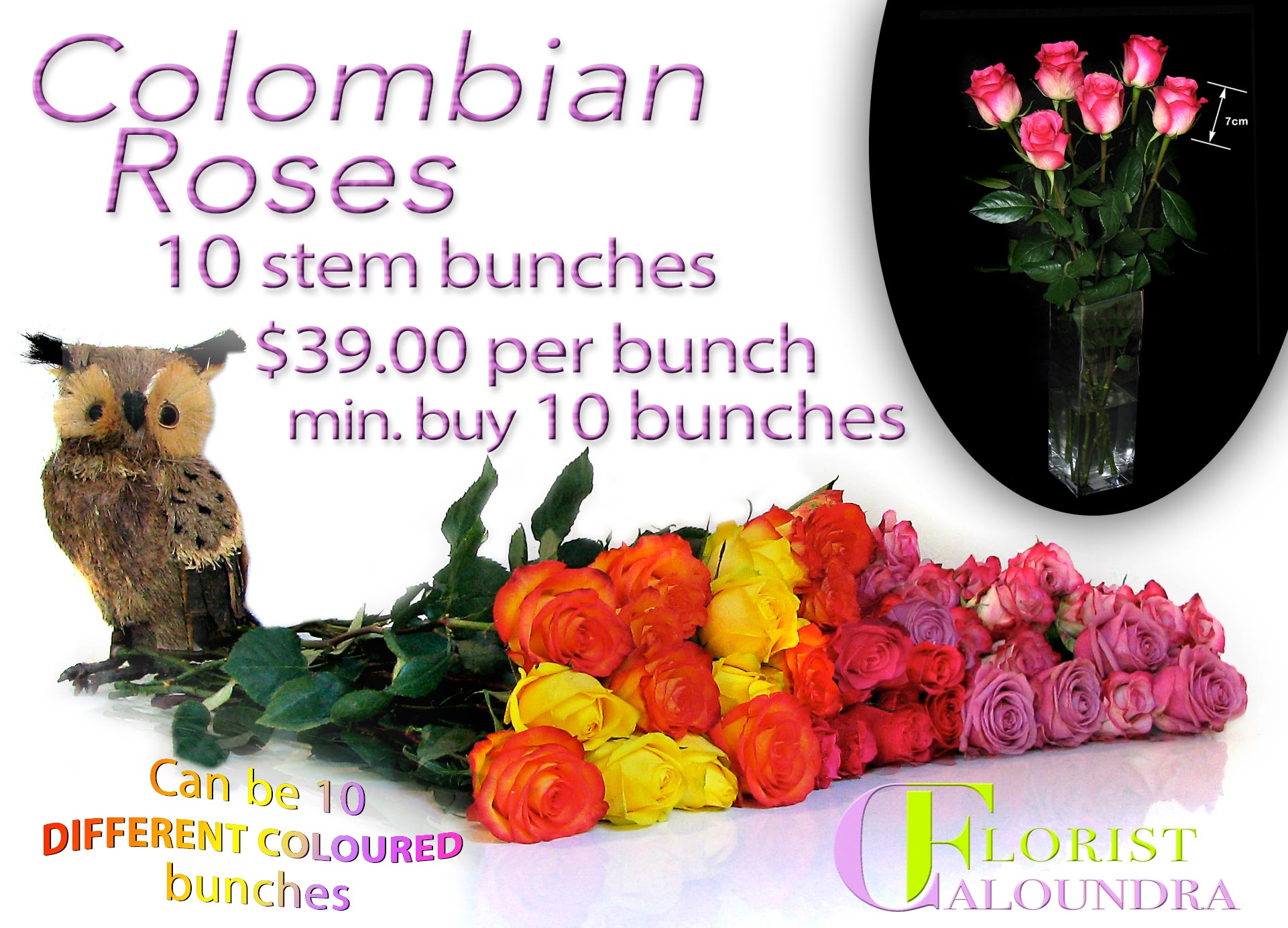 COLOMBIAN ROSES CALOUNDRA FLORIST